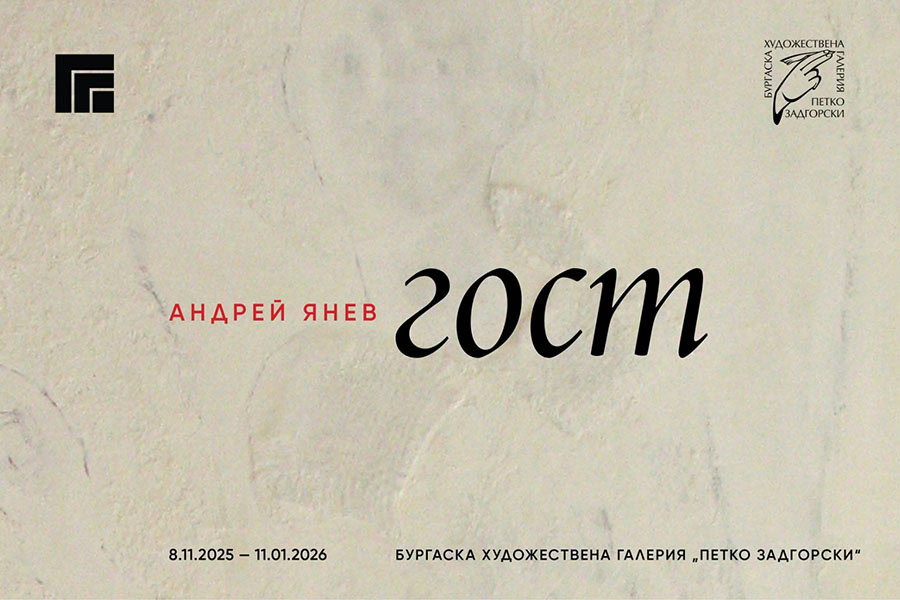 Изложбата „Гост“ на Андрей Янев представя философски прочит на темата за гостоприемството